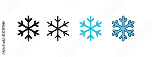 Vector icon icy crystal snowflake four styles black solid glyph outline minimal flat multicolor filled cartoon flat shaded.