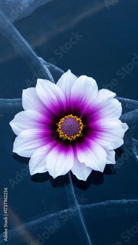 purple flower on a green background