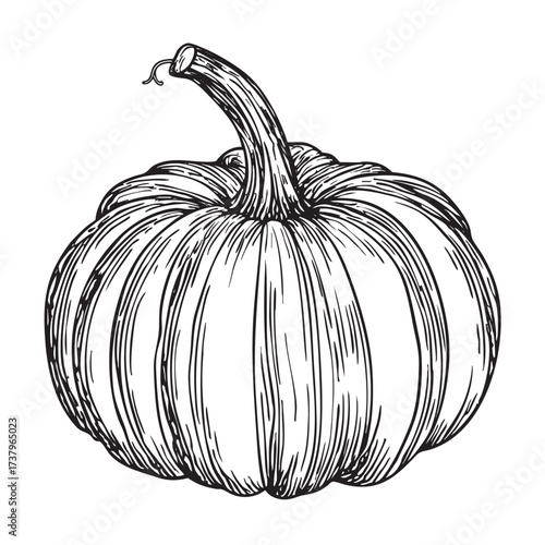 A variety of black and white line sketches for a holiday.