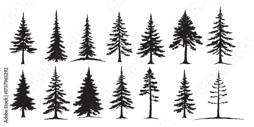 Majestic Pine Tree Silhouettes Set, Natural Forest Evergreens in Black Vector Style