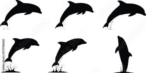 Silhouette dolphins jumping, aquatic animals leaping, marine wildlife motion, ocean mammals splash, sea creatures silhouette, dolphin leap illustration, water splash art