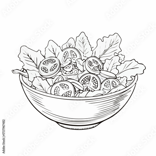 Detailed line art drawing of a fresh garden salad in a bowl, featuring crisp lettuce and sliced tomatoes, rendered in a vintage sketch style.