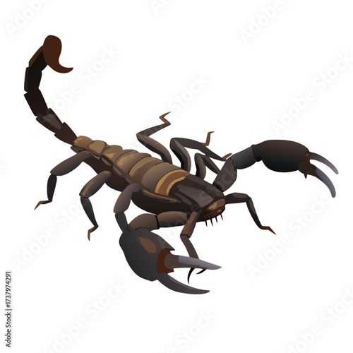 Brown scorpion with raised tail and claws on white background vector illustration