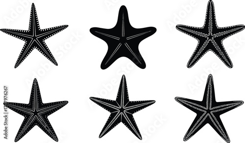 Black starfish illustration, marine animal silhouette, ocean sea life drawing, aquatic pattern design, underwater wildlife art, decorative marine biology graphic