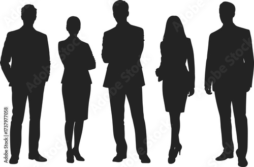 Business team silhouette, corporate professionals standing, diverse workforce, confident posture, leadership concept, teamwork illustration