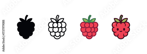 Vector icon raspberry four styles black solid glyph outline minimal flat multicolor filled cartoon flat shaded.