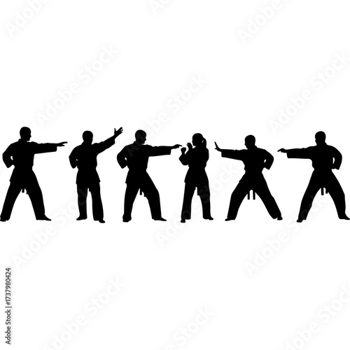 Karate practitioners performing martial arts moves in silhouette