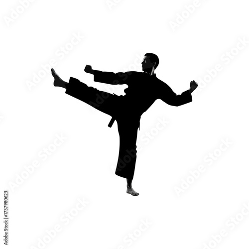 Karate practitioner performing high kick in silhouette, isolated on white