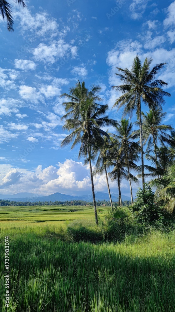 Obraz premium Lush green rice fields, palm trees, under a blue sky with puffy clouds