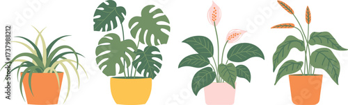 Modern indoor houseplants illustration, tropical foliage art, decorative green plants in colorful pots, minimalist botanical design, home decor wall artwork