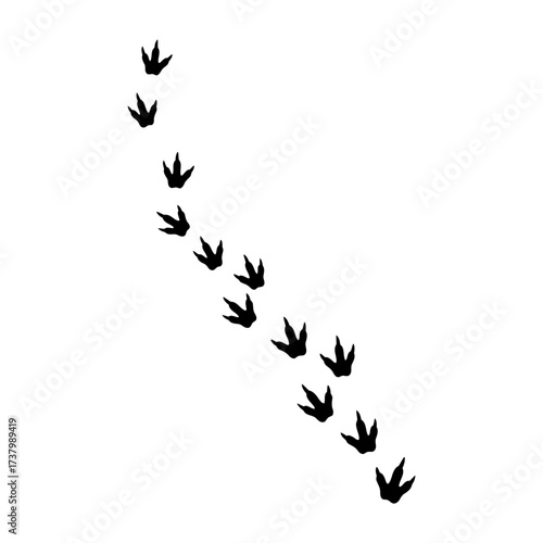 Footprint Dinosaur Silhouette Vector Illustration