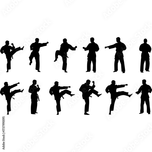 Silhouettes of Karate Practitioners in Various Poses.