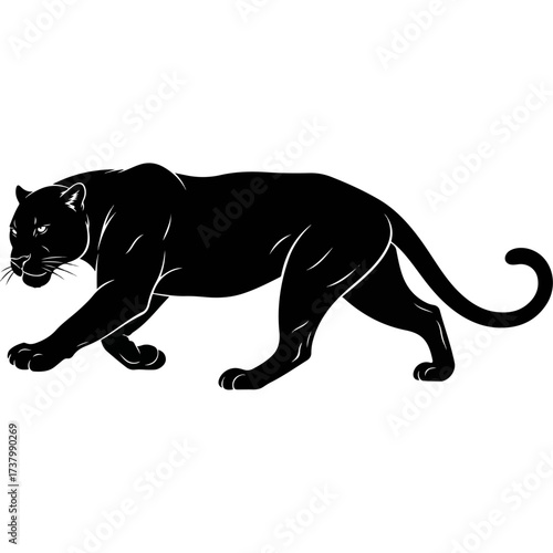 Black Panther Silhouette Stalking in the Shadows.