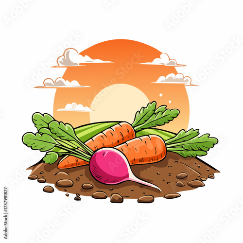 Freshly harvested carrots and radishes lying on rich soil at sunset in a field