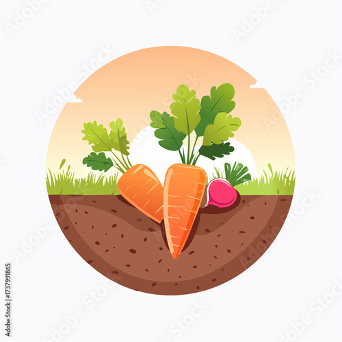Freshly harvested carrots and radishes lying on rich soil at sunset in a field