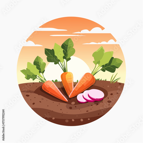 Freshly harvested carrots and radishes lying on rich soil at sunset in a field