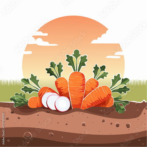 Freshly harvested carrots and radishes lying on rich soil at sunset in a field