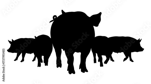 Group of Pig Silhouette Vector Illustration