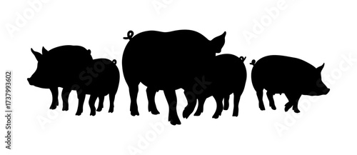 Group of Pig Silhouette Vector Illustration