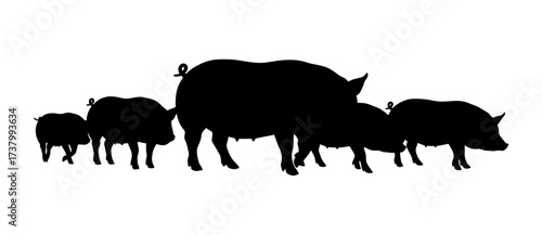 Group of Pig Silhouette Vector Illustration