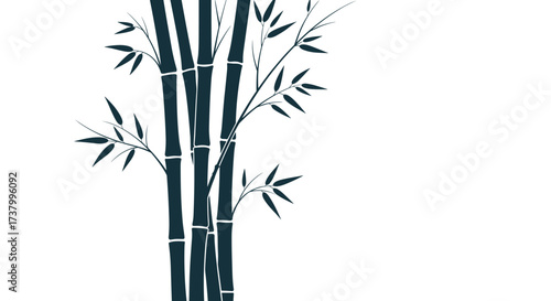 Tall dark green bamboo stalks with delicate leaves create a serene natural composition.