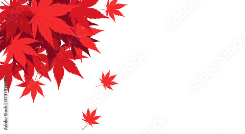 Vibrant red maple leaves gently falling in a serene autumn scene.