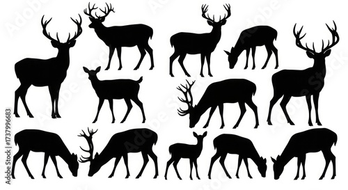 Deer silhouette vector illustration buck doe fawn stag reindeer wildlife animal nature forest graphic design
