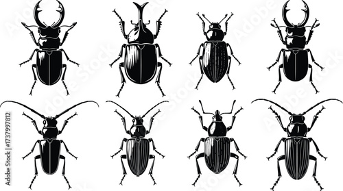 Beetle insect silhouettes, stag beetle icons, rhinoceros beetle illustration, black bug collection, entomology vector set, isolated beetle species design, insects clipart