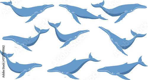 Blue whale illustration, cartoon whales, swimming poses, marine life, ocean animals, vector art, sea creatures, graceful motion, stylized design, aquatic icons