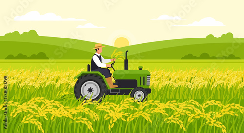 Illustration of a farmer on a tractor harvesting rice in a rural setting field