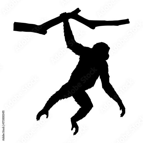 Monkey Silhouette Vector Illustration , Animal Silhouette