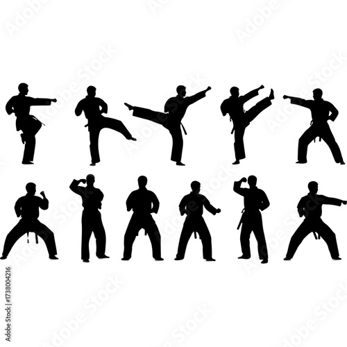 Karate practitioners performing various martial arts poses in silhouette