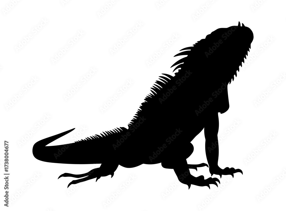 Fototapeta premium Iguana Silhouette Vector Illustration