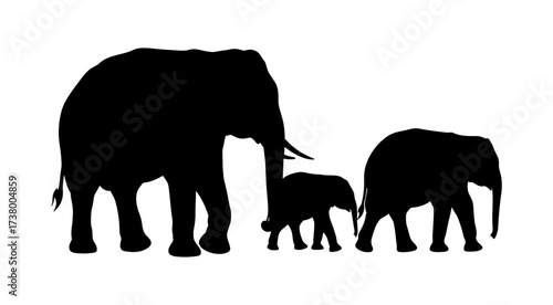 Elephant Family Silhouette Vector Illustration