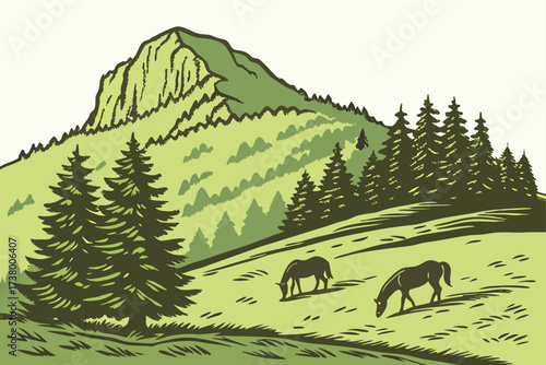 Mount Rogers in Virginia, highest peak in the state, alpine meadows with grazing ponies and spruce forests