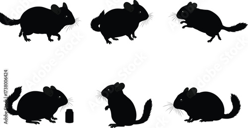 Chinchilla silhouette vector set showing rodents in different poses, sitting, eating, standing, and playing, black animal illustration for artwork.