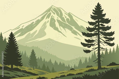 Mount Shasta in Northern California, massive snow-draped volcano rising above pine forests and meadows