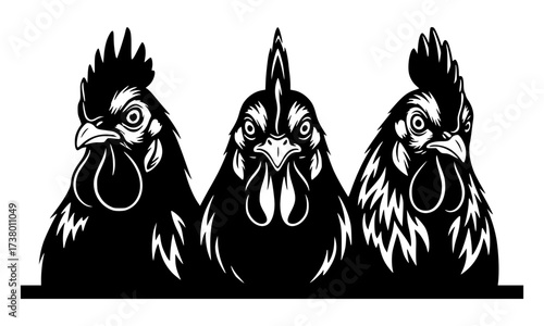 Three Roosters Heads Vector Silhouette, Chicken, Farm, Bird, Poultry, Mascot