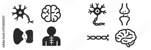 Exploring the connections between neurons, brain structure, and human anatomy in a visual representation of neuroscience concepts