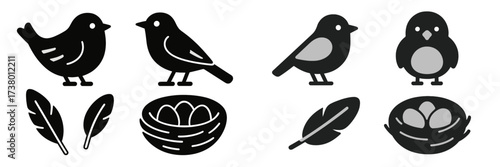 Different bird silhouettes and nest illustrations showcase nature's beauty and diversity in design elements