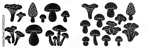 Multiple types of mushrooms illustrated in black and white featuring various shapes and sizes