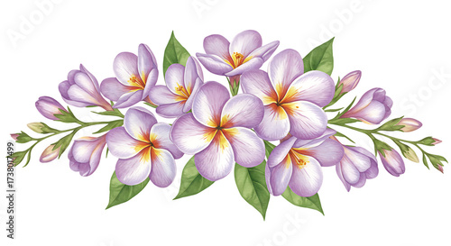 Wallpaper Mural Pink Purple Frangipani Flowers Bouquet with Green Leaves on Transparent Background Torontodigital.ca
