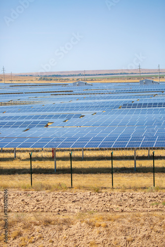 Wallpaper Mural Solar panel fields in large quantities. Solar panels as alternative energy sources safe for the environment. Torontodigital.ca