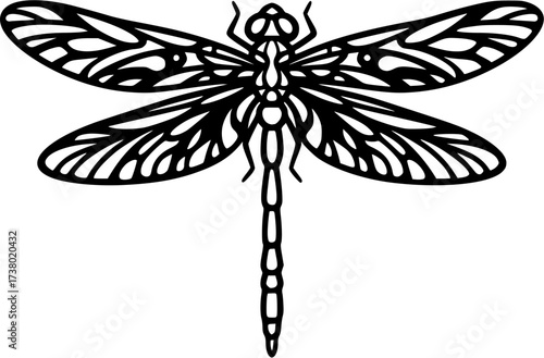 Illustration of a blue dragonfly insect with wings and body design vector graphic art image, nature
