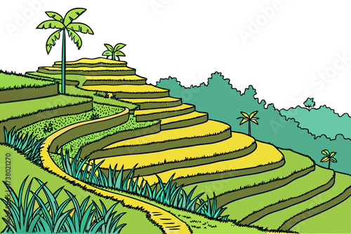 Colorful rice terraces with palm trees and pathway