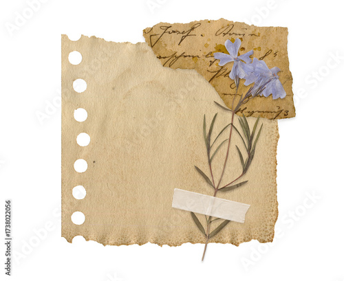 Vintage Torn Note Paper with Dried Flowers and Handwritten Notebook. Retro scrapbooking ephemera elements with tape and old texture for collage, journaling and creative craft collection