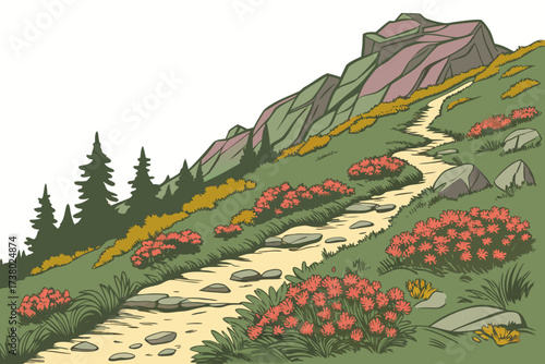 Mountain trail with wildflowers and pine trees path 2