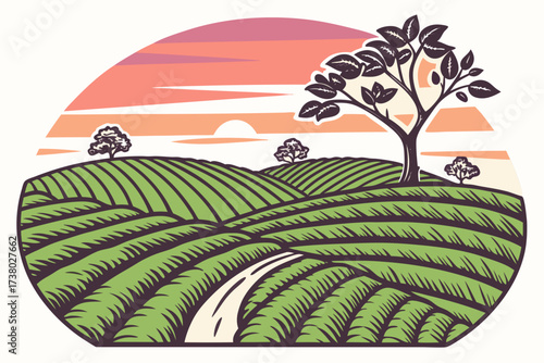 Rolling green hills with a winding path at sunrise