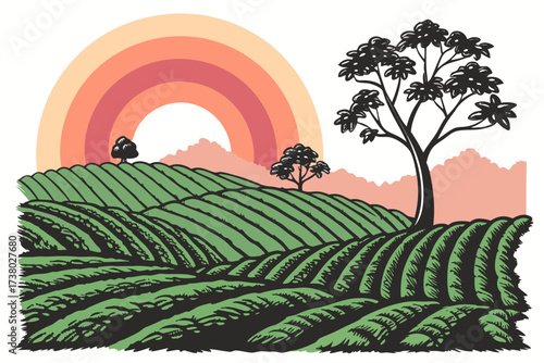 Rolling green hills with sunrise and trees agriculture