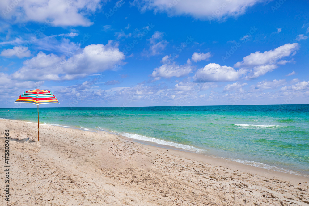 Fototapeta premium Fort Lauderdale Beach with its clear waters, palm trees. Known as the “Venice of America